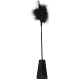 Fusta con Pluma